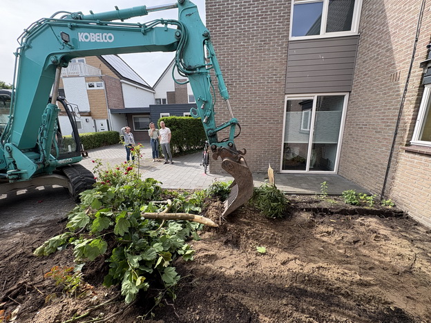 Tuin